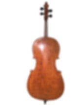 Miniatura: Violoncellos