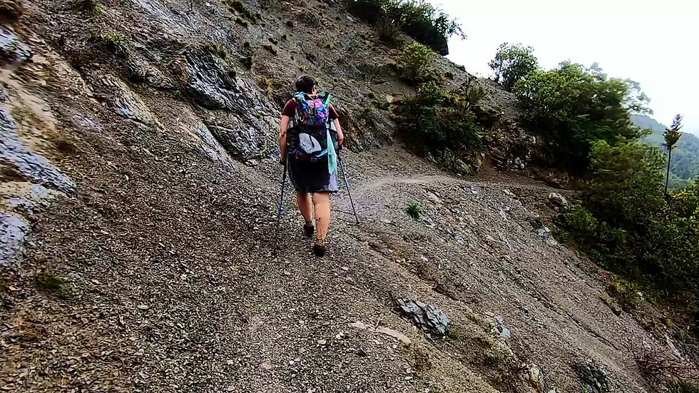 Thumbnail: Tui 42 Pack