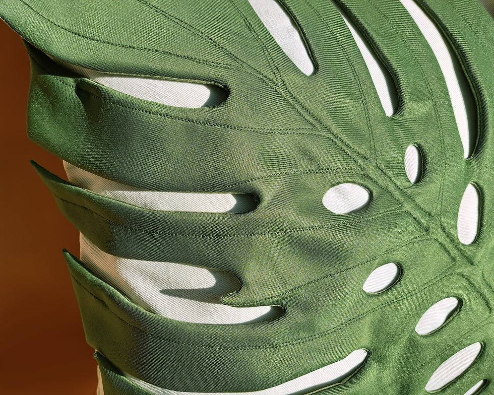 Thumbnail: Delicious Monster | Monstera Deliciosa