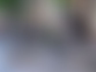 Heroine of Texas Archives War