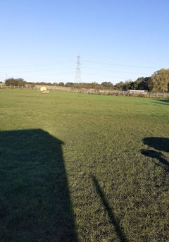 20211015_091930.jpeg