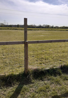 20210426_151410.jpeg