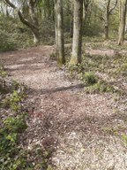 20210423_154043.jpeg
