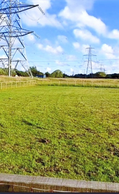 image of our outdoor dog run with open grass space and blue sky
