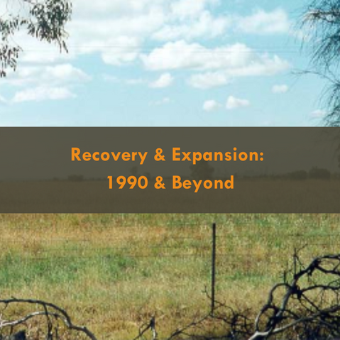 Recovery & Expansion