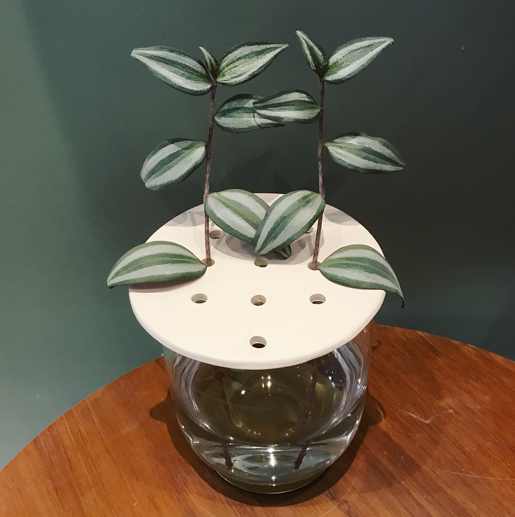 Miniature : Support à fleurs - boutures