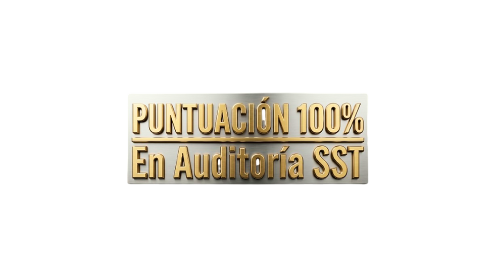 Obtuvimos el 100 % de puntuación en la auditoría de SST