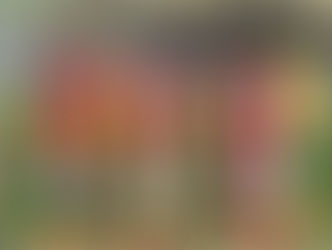 تقدم الجونه على النادى الأهلى فى بداية المباراة بسبب الامطار