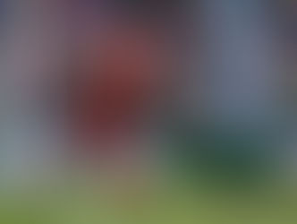 ليجانيس يتقدم بهدف مبكر امام اشبيلية