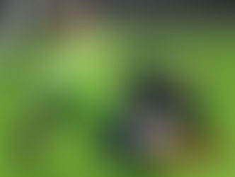 حارس سويدي يخلف أليسون في روما