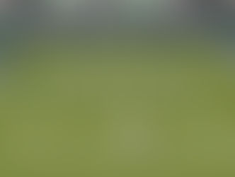 النجم الاسبانى يعلن رسميا انسحابه من بطوله التنس المفتوحه