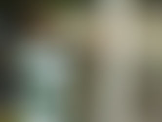 أتليتكو مدريد يتعاقد مع جناح منتخب البرتغال مجانا