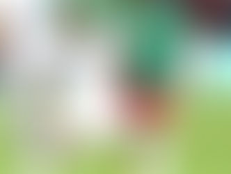 تعرف علي التشكيل المتوقع لمنتخبى غانا وتونس في لقاء اليوم