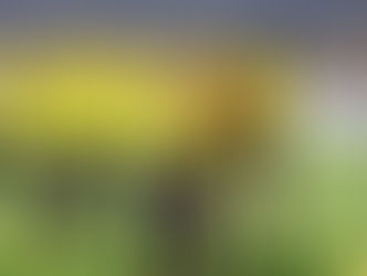 وادي دجلة يحاول تحقيق الفوز الأول له .. والنجوم يحاول مواصلة صحوته الأخير