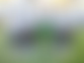 المصرى البورسعيدى يتأهل على حساب سيمبا التنزانى