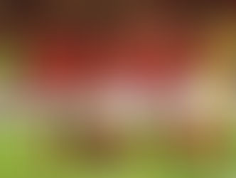 الاهلى ينهى استعدادتة لمواجهة كانو سبورت بطل غينيا الاستوائية