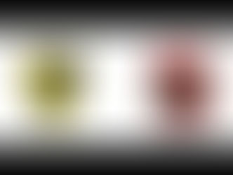 بث مباشر مباراة الاهلي و وادي دجلة 11-12-2019 بث مباشر في الدوري المصري 7.30م