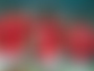 الاهلي يحسم ملف المعارين ويحدد العائدين منهم.. اقرأ التفاصيل