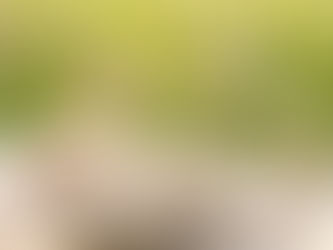 糖質をやめたら痩せる?