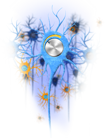 Eran Stark Neuroscience