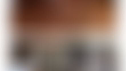 桂古民家改修の歩み 2