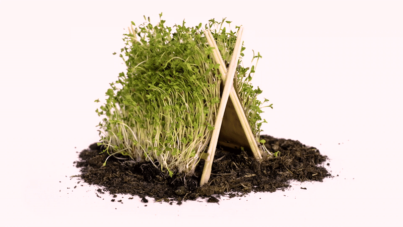 sustainable-value-tent.gif