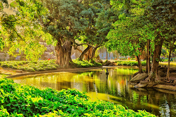 Campo de Santana ou Praça da República, é um do atrativos culturais do City Running Tour no Rio de Janeiro