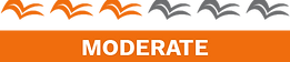 MODERATE INTENSITY