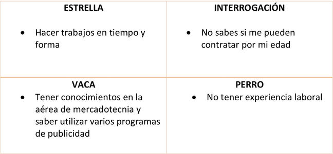 ANÁLISIS BCG