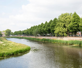 activiteiten bij Bossche Locals