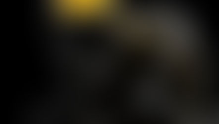 Treatment of Mood Disorders in PD