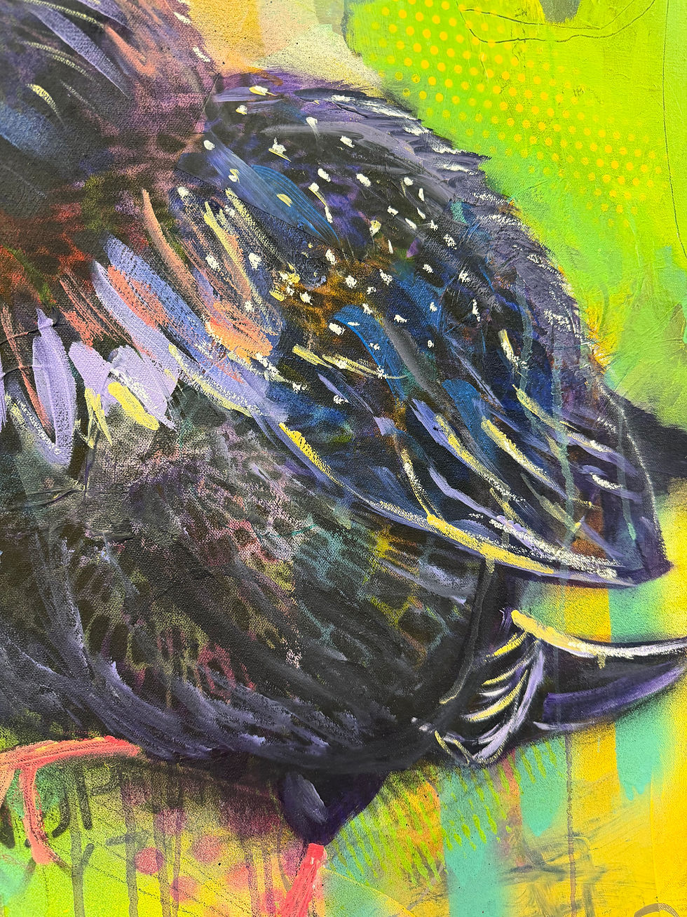 Thumbnail: European Starling Bird Painting - Original Mixed Media Abstract Art 30"x30"
