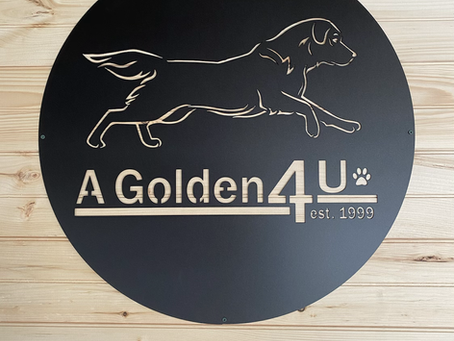 New Logo, and New puppy room