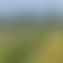 Reading Between the Wines: The Summer Job