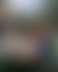 Människor vid fika bord på Bastberget fäbod