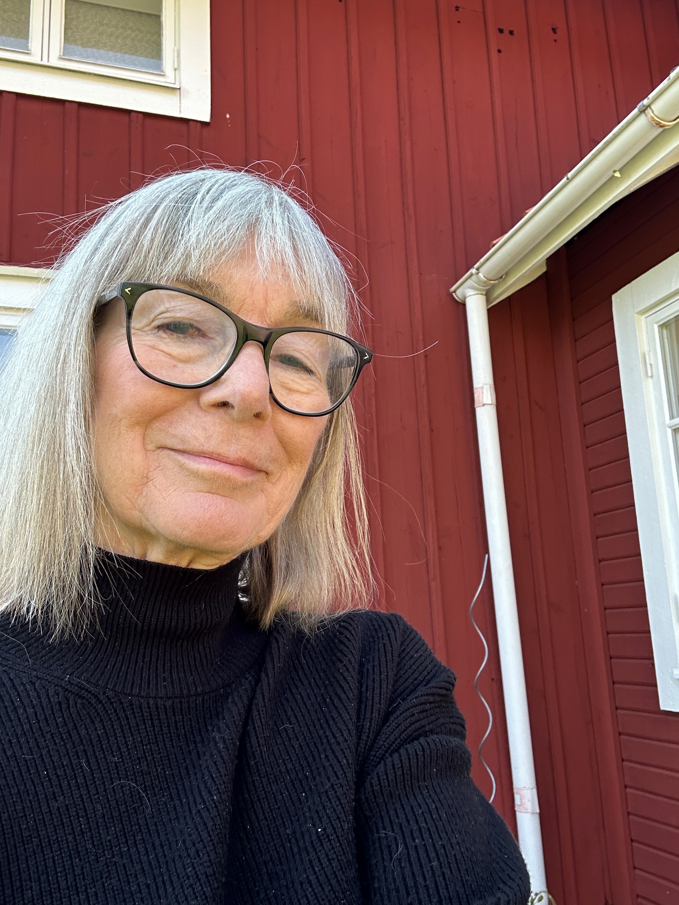 Skribentens bild: Sylvia Ingemarsdotter