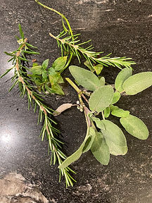 Salbei Rosmarin auf Brett.jpg