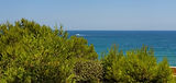 CALA BLANCA 2