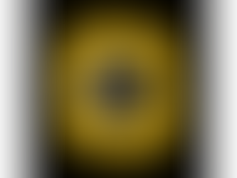 Celebrating 30 years of MORT and 15 Years of Hosting FRC Mount Olive