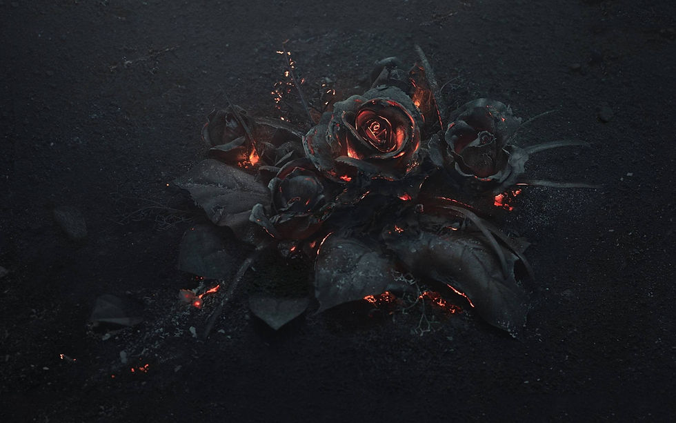 black-rose.jpg