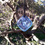 Thumbnail: Blue Pendant - Throat Chakra