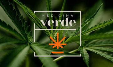 logo design cannabis, cannabis identidad de marca, logo, design, brand, medical brand, medical logo, retail logo design, hospitality logo, diseño de logo restaurante, hotel, branding medical, diseño de marca negocios, logo personalizado, new business logo, profesional branding, logo brand, diseño de branding puerto rico, diseñador latino, diseñador de logo ángeles, diseñadores de logo miami, Diseño holiístico, holistic graphic design, diseño wellness