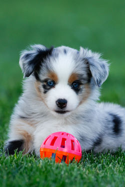 20220908175912__A7A7520