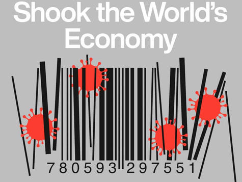 [Webinar] Discussion with the authors of 'Shutdown: How Covid Shook the World's Economy' 
