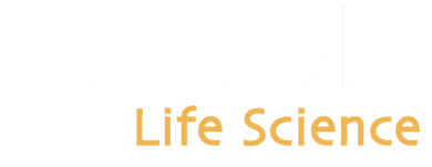 Pebble logo (5).png