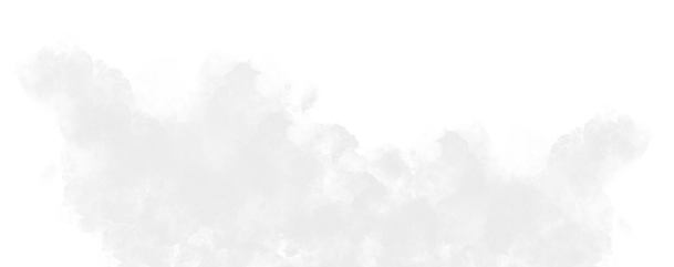 the box legs homepage (3).png