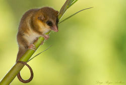 14054238789_a1b97b6b34_b