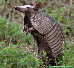 2b6e4a87c3c2c0beb88af2ba4d4d0af5