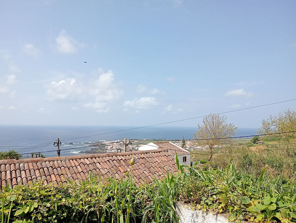 Außenbereich (Casa Esmeralda)5