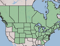 Joe Pye Weed Native Range